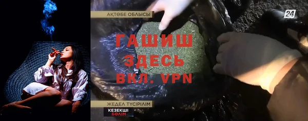 гашик Каменка