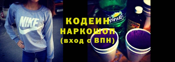 гашик Каменка