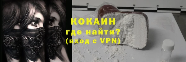 гашик Каменка