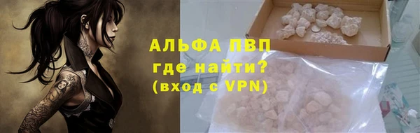 гашик Каменка