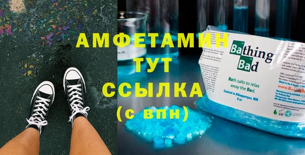 гашик Каменка