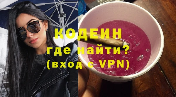 гашик Каменка