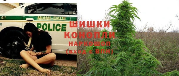 гашик Каменка