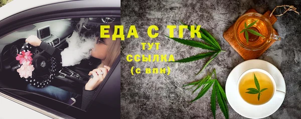 гашик Каменка