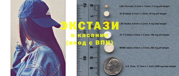 гашик Каменка