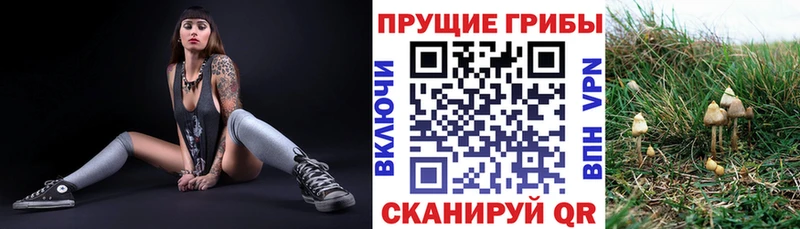 Галлюциногенные грибы MAGIC MUSHROOMS  Купить закладки  Дудинка 